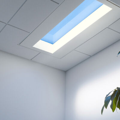 good_award_coelux-4810