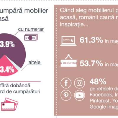 infografic-3881