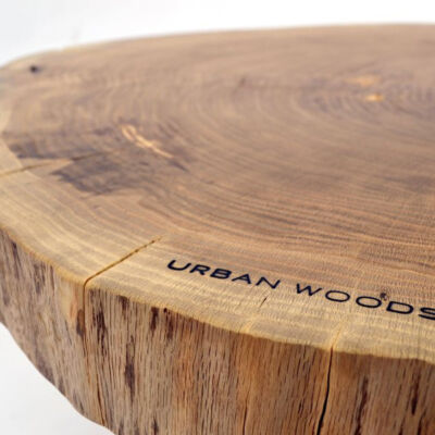 urban_woods-4861