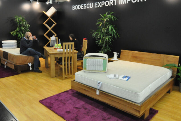 bodescu_imm2016-717
