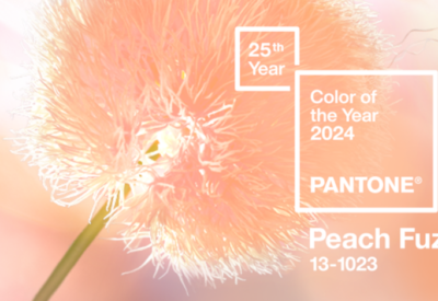 Pantone: Peach Fuzz – culoarea anului 2024