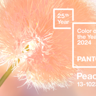 Pantone: Peach Fuzz – culoarea anului 2024