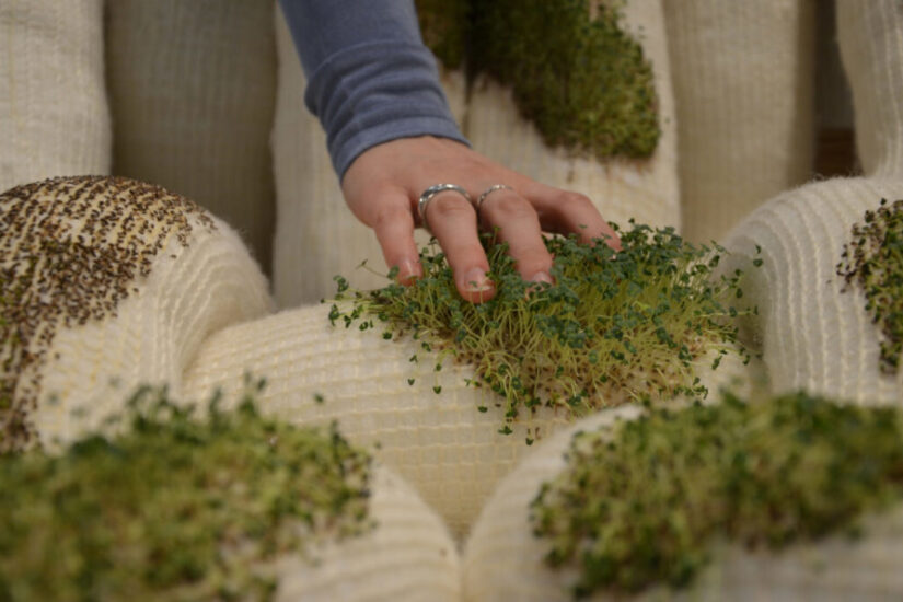 Scaunul Chia – inovație a designului biofilic