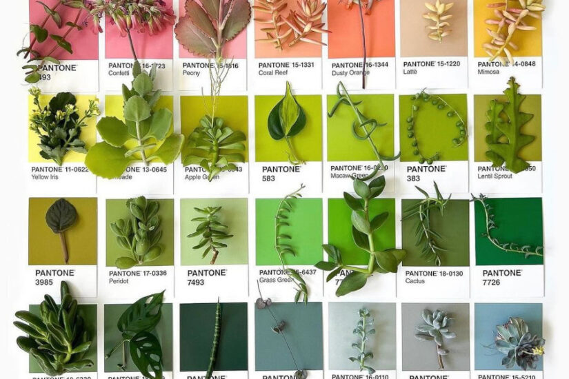 Designerii anticipează culoarea lui 2026 în viziunea Pantone