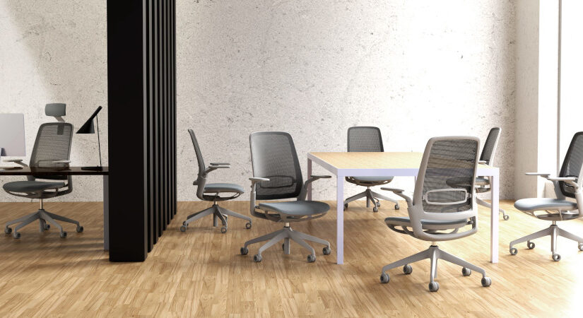 Back to School/Office cu Antares
